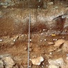 Znaleziono grot oszczepu sprzed 15 tysięcy lat