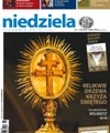 Niedziela 11/2010